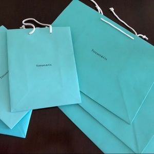 Tiffany’s Bag 20” x 18”